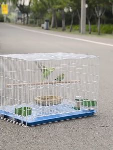 แบบของกระต่าง:** กรงนก กรงกระต่าย กรงนกพกพา กรงนกหงส์หยก กรงนกเขา กรงนกเขาใหญ่ กรงนกเล็ก กรงหนูแฮมเตอร์ กรงนกกรงหัวจุก กรงสัตว์เลี้ยง กรง มีอุปกรณ์