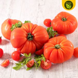 10 seeds binhi pantanim kinalabasa tomato kamatis fruit