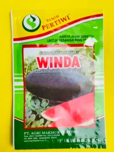 Benih Semangka Inul Hibrida WINDA dari PERTIWI: Isi 20 Gram