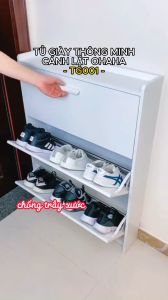 [ Freeship HCM ] TỦ GIÀY THÔNG MINH CÁNH LẬT OHAHA - TG001