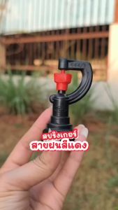 (แพ็ค10/20ชิ้น) สปิงเกอร์สายฝนใบแดงพร้อมต่อตรงเกลียวนอกสวมท่อ 4 หุน หรือ สปริงเกอร์ใบหูช้างพร้อมต่อตรงเกลียวนอกสวมท่อ 4 หุน