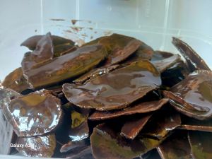 Keripik pisang lumer coklat panti yatim albarokah