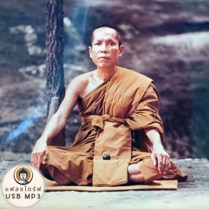 USB MP3 แฟลชไดร์ฟธรรมะ ชุดที่ 14 พร้อมแถมเสียงธรรมะหลวงปู่สาวกโลกอุดร ธมฺมปาโล (310 กัณฑ์ / 310 ชั่วโมง) แฟลชไดร์ฟของแท้