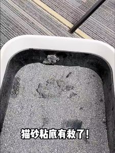 พลั่วครอกแมว ทําความสะอาดง่ายสแตนเลสลูกแมวตักครอก ทนทานวิจิตรหลุมไม้โลหะจับแมวห้องน้ําทําความสะอาดเครื่องมือสําหรับสัต