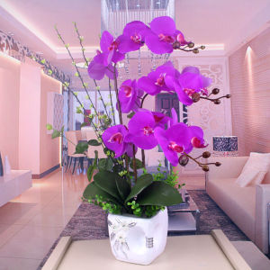 Living Room Butterfly Orchid Set Table Decorations Faux Flower Home Accessories Glue over Artistic Arrangement Floral Display