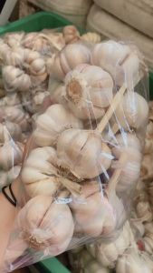 BAWANG PUTIH SEGAR 1 KG Diskon 50% Saat Live