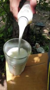 คีเฟอร์นม แบบไอรัน สไตล์ เซ็ต 6 ขวด โปรไบโอติก และ คีโต