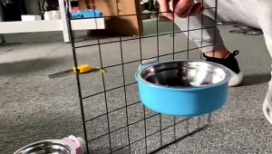 Bát gắn chuồng 🐶 FREE SHIP 🐶 cho thú cưng chó mèo size lớn ƞhất