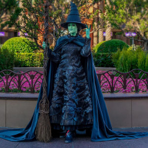 Full Set Magic Wicked Witch Cosplay Costume Stage Performance Clothes for Women Christmas Theme Game Origin Cosplay Outfit