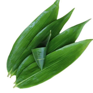 WENXIANGZAN | Large Guangxi Traditional Fresh Wild Reed Leaves for Zongzi Wrapping
