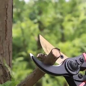 Pemotong Daun Bunga Tangkai Pohon | Tang Super Tajam | Perlengkapan Berkebun | COD