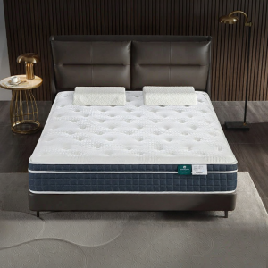 Airland | Firm Spinal Support Mattress 7-zone Spine Protection Coconut Fiber Latex
