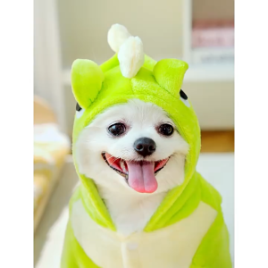 Áo khoác ấm mềm mịn cho Chó mèo hình khủng long kèm khoen móc dây dắt (mẫu mới) - Hara Pet Store
