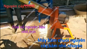Máy Xay Chuối Mịn Tặng Kèm 1 Dao Lát Gắn Mô Tơ 2HP Lõi Đồng