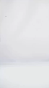 JIMS HONEY - Jam Tangan Pria JHW 36