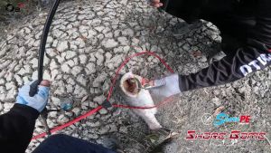 คันสปิน O2+ New Shore Game 2 ท่อน ต่อโคน สำหรับเกมส์ตีเหยื่อชายฝั่ง งาน Cast บนเรือ หรือตีปลาตามวัง ส่งเหยื่อไกล