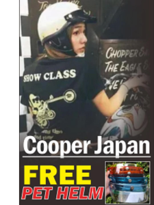 Helm Cips Japan Vintage Free Pet Transparan