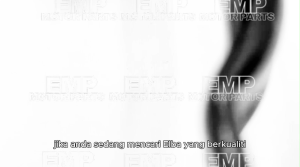 L BAR GBOJ SPOILER GBOJ ROUND SEAT BAR GBOJ BLACK CHROME HONDA WITH SCREW & BOLTS