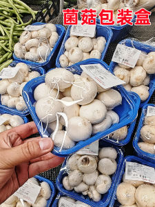 Thickened Plastic Disposable Mushroom Packaging Box Square Vegetable And Fruit Packaging Box No Cover Blue Color Kitchen Supply