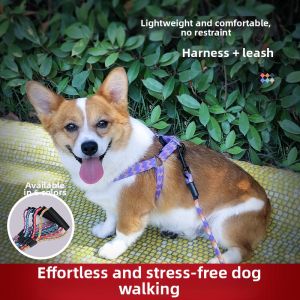 YIXIAO | Dog Leash for Various Dog Sizes