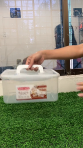 Edepot Sunnyware 4.3 Liters Airtight Grab and Go Handy Box- Small