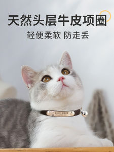 Customizable Pet Name Necklace Cat Bell Anti-Lost Collar for Small Dogs And Cats Personalized Engraved ID Tag Pet Accessories