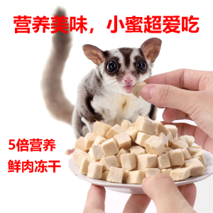 Freeze-Dried Chicken Bits Nutritious Snacks for Small Pets Hamsters Guinea Pigs Squirrels Weight Gain Pet Food Supplies