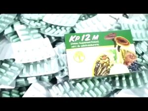 BAMBOO KP168M แบมบูเคพี168เอ็ม สมุนไพรสกัดเข้มข้น สร้างภูมิคุ้มกันขับสารพิษ Kaideeshop888 ของแท้100%