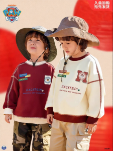 Paw Patrol | Casual Stylish Color Block Hoodie for Boys