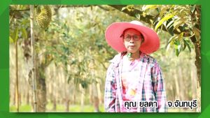 กรีนนาโน อาหารเสริมพืช ปุ๋ยทางใบ เพิ่มผลผลิต ลดต้นทุน ติดดอกดี ผลดก ไม่มีโรคแมลง kaideeshop888