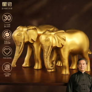 XINGYUE | Wealth-Attracting Brass Elephant Pair