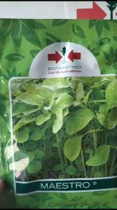 Benih Bayam MAESTRO 50gr Bibit Sayuran Unggul Cap Panah Merah