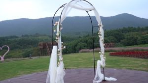 Garden Stand Outdoor Arch Flower Decoration Arch Rack Climbing Flower Stand Decorative Garden Backdrop