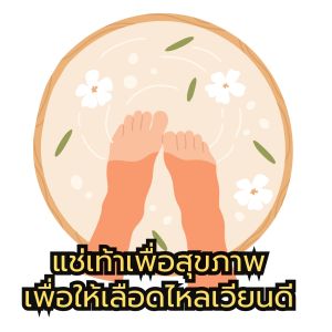 สมุนไพรจีนแช่เท้า แช่มือ แก้ขาแพลง เท้าพลิก ซองใหญ่ 10 กรัม เพื่อสุขภาพ แก้ปวดเท้า แก้เหน็บชา สปาเท้า คลายเส้นตึง ทำจากสมุนไพรจีน