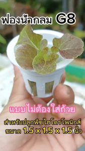 ฟองน้ำกลมเนื้อละเอียด รุ่น G8 ขนาด 1.5x1.5x1.5 นิ้ว 5 แผ่น