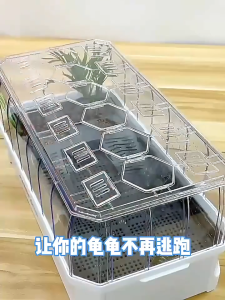 Turtle breeding tank - specially designed tank for keeping turtles. Ecological tank. Luxury villa with a terrace