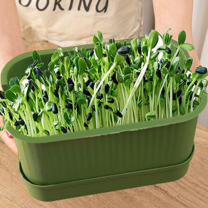 New Seed Sprouts Tray Nursery Tray Saving Space Mini Greenhouse Germination Kits for Sprout Planting Container Green Growing Tray