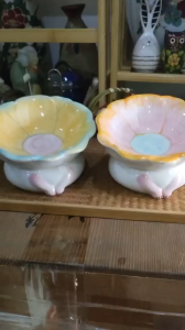 Bát ăn cho mèo chân cao hình hoa hàng Lucky 🍀🍀🍀