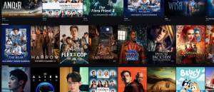 DISNEY+ HOTSTAR PREMIUM 1 BULAN BEGRANSI