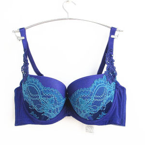 European Series Genuine Lace Top Thin Bottom Thick Three Breasted Thin Cup 70c75c Bra Womens Underwear Bra Oa23365