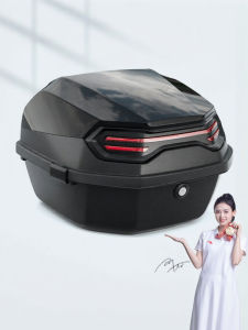 WANSLO | Universal Electric Bike Trunk with Racing Tail Light Design