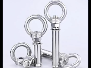 M6 M8 M10 Stainless Steel Expansion Bolt Lifting Ring Concrete Wall Mounted Expansion Anchor Ring