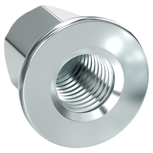 TIANZHUOJINSHU | Elevated Extended Cap Type Decoration Nut M5-M10