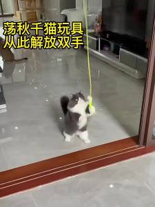 [Hỏa tốc] Cần câu CÓ CHUÔNG dán tường Đồ chơi cho mèo cần câu dán tường co dãn giúp mèo năng động