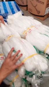 ตาข่ายปลูกผัก อวนแตง ตะข่ายไนลอน ค้างผัก ต้นไม้เลื้อยตาข่ายไนล่อน ตาข่ายแตงกวา ตาข่ายปลูกถั่ว