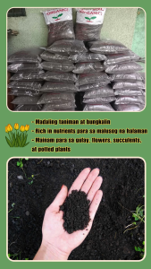 9+1 KILOS OGRANIC LOAM SOIL FOR PLANTS GOOD FOR ALL KIND OF PLANT HOME GARDEN VEGETABLE AND FRUIT