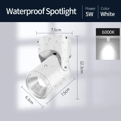 Outdoor Spotlight Surface Mounted 5W/7W/10W/12W/15W/18W/20W High Quality Aluminum Shell Waterproof IPX6 Spotlight For Hotel/Villa