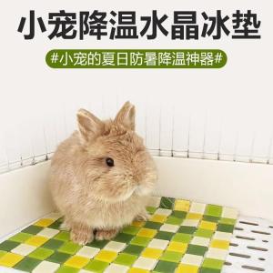 Pet Cooling Mat Rabbit Hamster Guinea Pig Sweat Absorbent Mat Pet Accessories Heat Dissipation Pad Pet Comfortable Nest