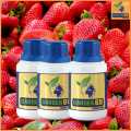 GARDEN 69 pupuk vitamin tanaman. 