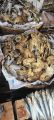Dried Danggit (Boneless) 100 grams Organic Dried Fish. 